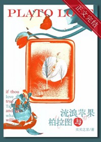 流浪苹果与柏拉图小说解读