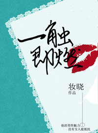 一触即燃礼盒评价